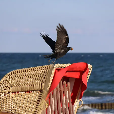 Fairschlafen Boutique Mit Hotelkomfort - Kombuese 0-14 Mit Privater Terrasse Ξενοδοχείο